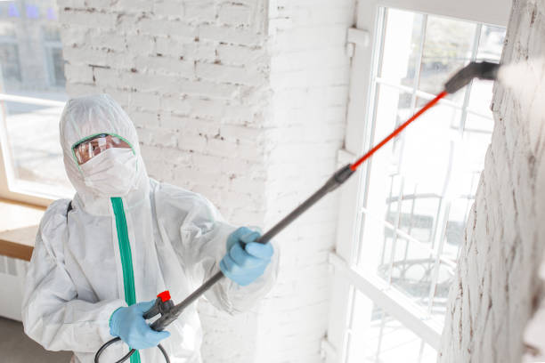 Best Mold-Related Health Consultation  in Tiger Point, FL