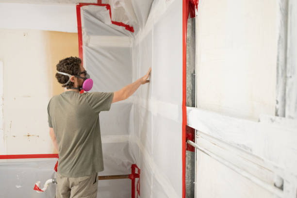 Asbestos and Lead Testing During Mold Inspection in Tiger Point, FL