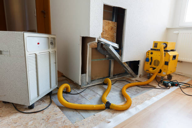 Best Mold Removal for HVAC Installations  in Tiger Point, FL