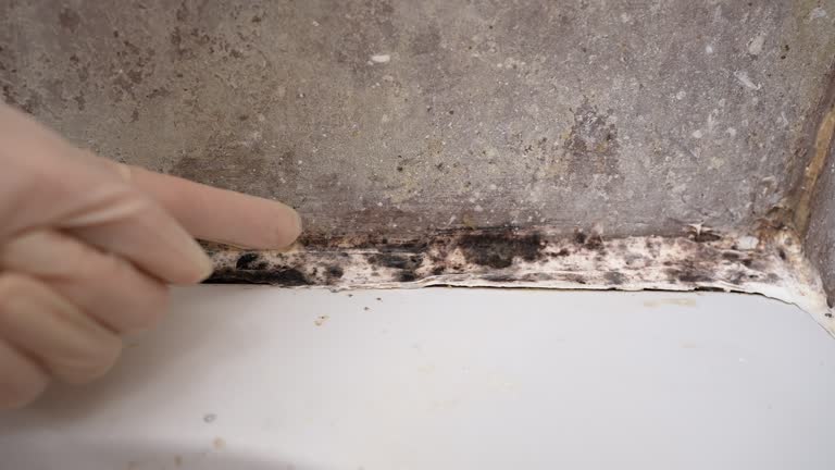Best Airborne Mold Testing  in Tiger Point, FL
